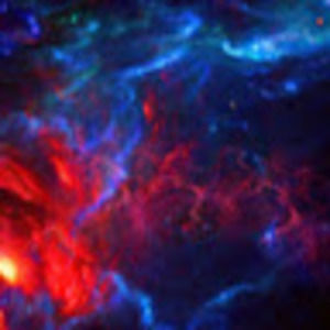 Meet your Posher, Kortney